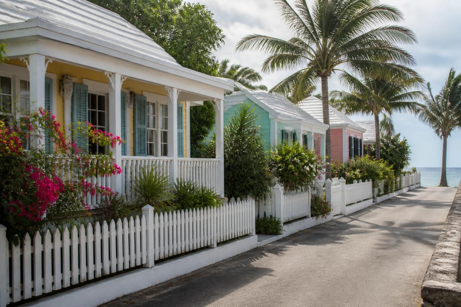 Bright coastal homes with palm trees and relaxed streetscape